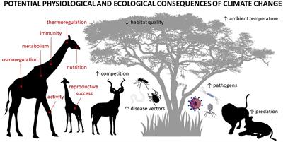 Editorial: Mammalian responses to climate change: From organisms to communities